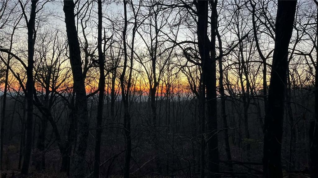 1171 Hunter Drive Ranger, GA 30734 - Photo 6 of 19 a view of trees with a house