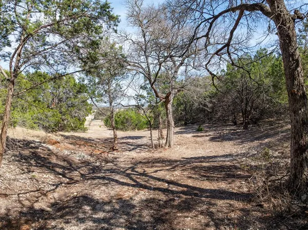 a view of a dry yard with large trees