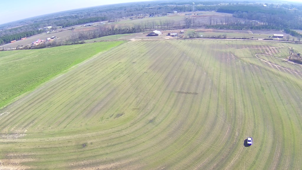 4 Culver Road Newville, AL 36353 - Photo 2 of 6