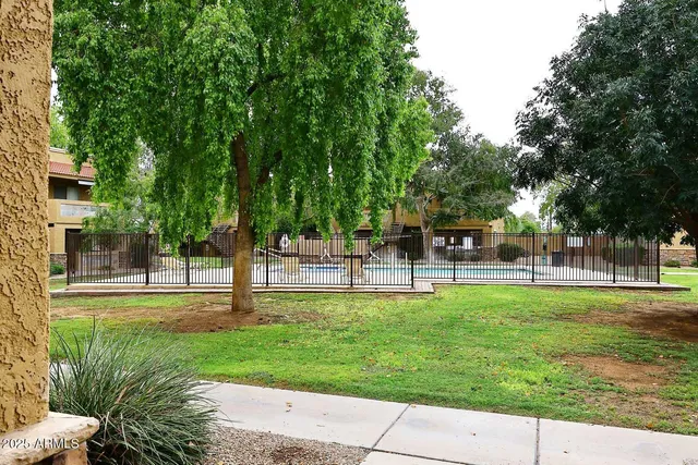 a view of a park with trees