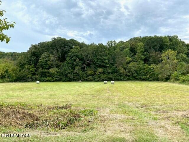 2378 Hall Road Dandridge, TN 37725 - Photo 1 of 10 1a