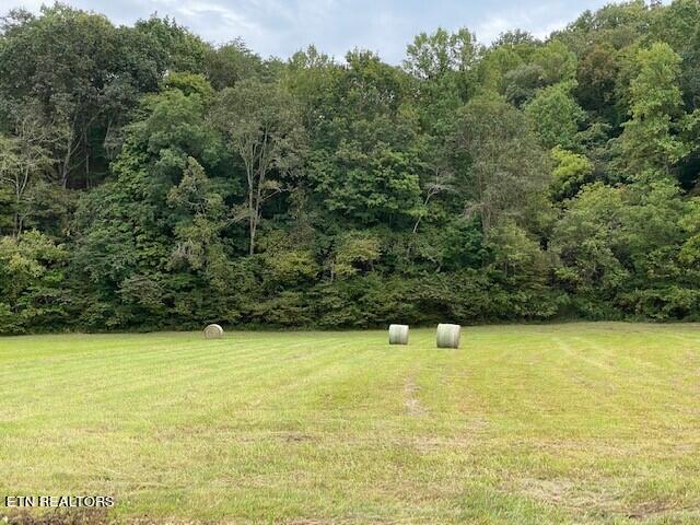 2378 Hall Road Dandridge, TN 37725 - Photo 2 of 10 1b
