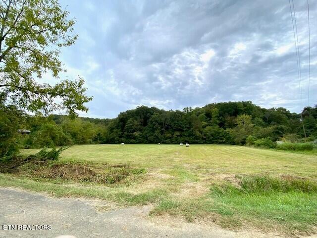 2378 Hall Road Dandridge, TN 37725 - Photo 3 of 10 1c