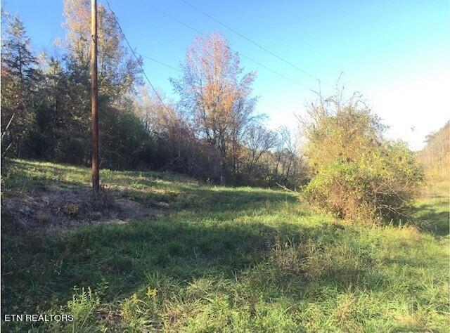2378 Hall Road Dandridge, TN 37725 - Photo 4 of 10 5