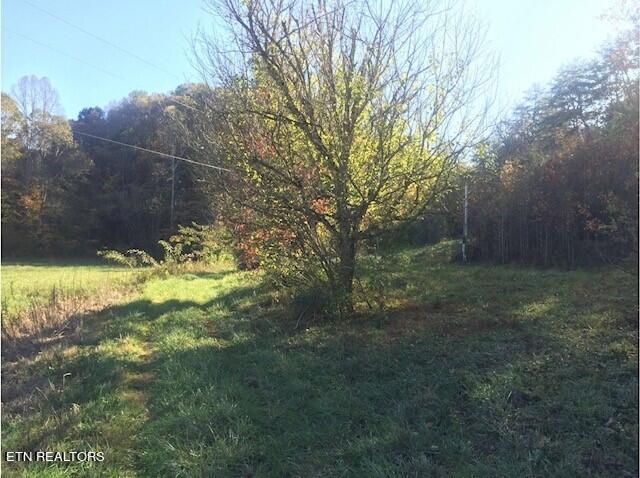 2378 Hall Road Dandridge, TN 37725 - Photo 5 of 10 6