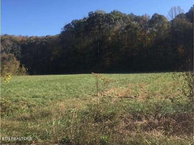 2378 Hall Road Dandridge, TN 37725 - Photo 7 of 10 10
