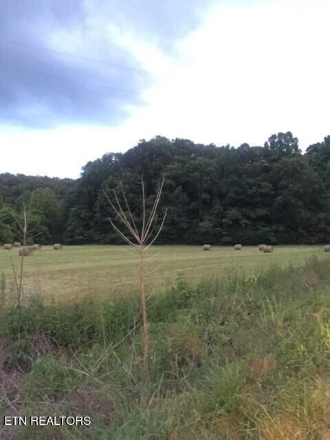 2378 Hall Road Dandridge, TN 37725 - Photo 8 of 10 13