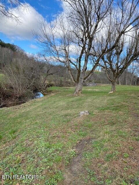 2378 Hall Road Dandridge, TN 37725 - Photo 9 of 10 14