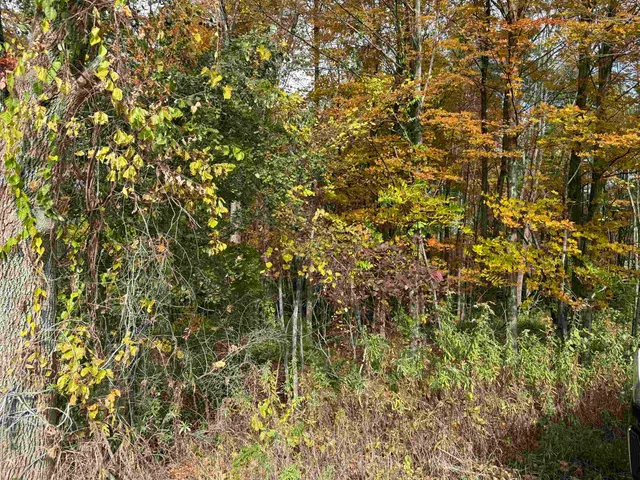 $65,000 | 0 Sunset Hill Road, Pownal, VT 05261