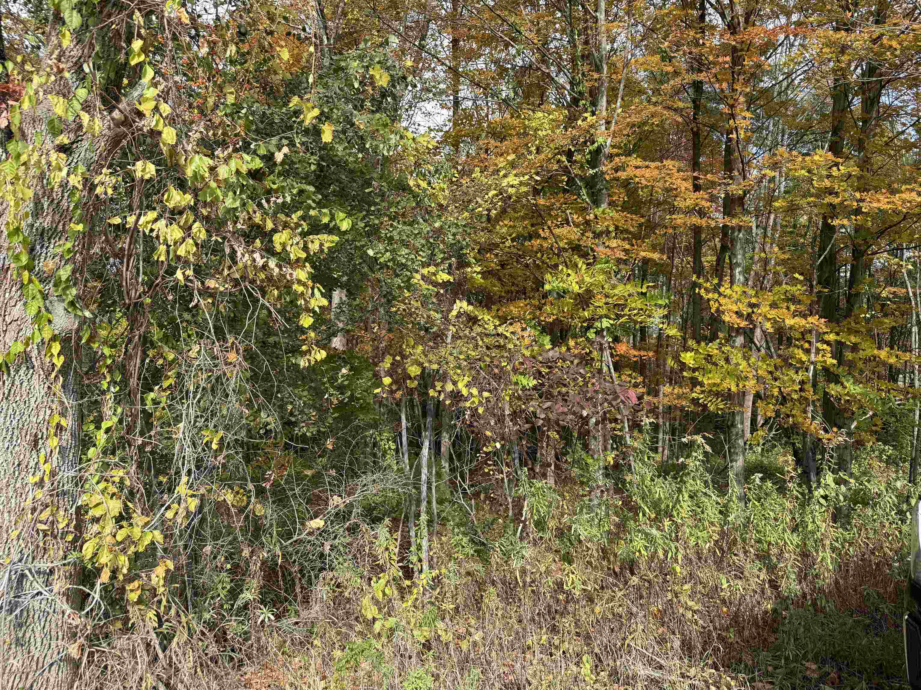 0 Sunset Hill Road Pownal, VT 05261 - Photo 11 of 17