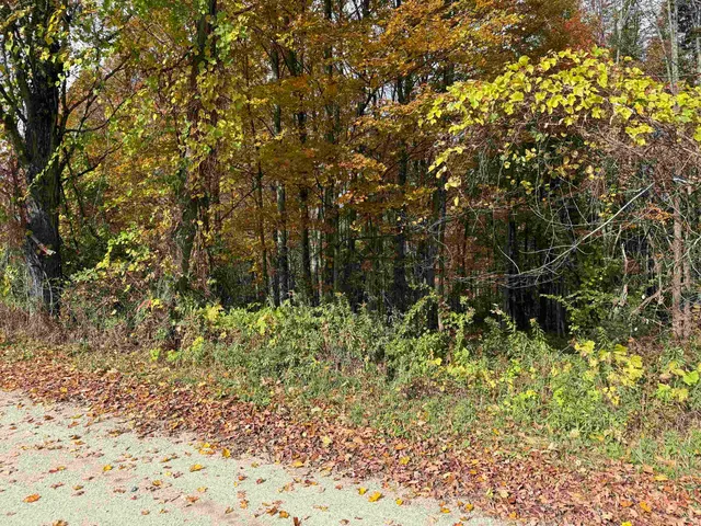 $65,000 | 0 Sunset Hill Road, Pownal, VT 05261