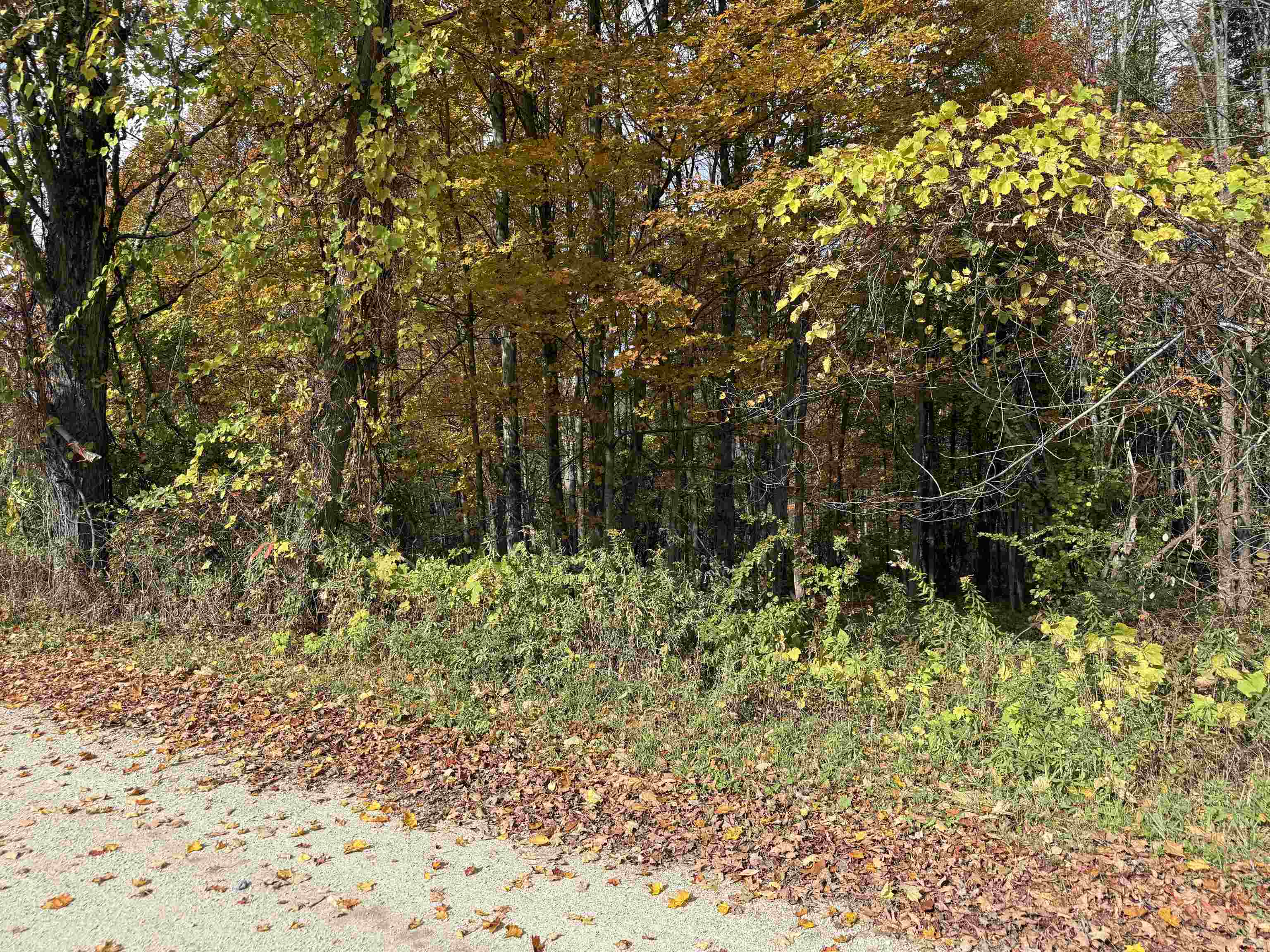 0 Sunset Hill Road Pownal, VT 05261 - Photo 13 of 17