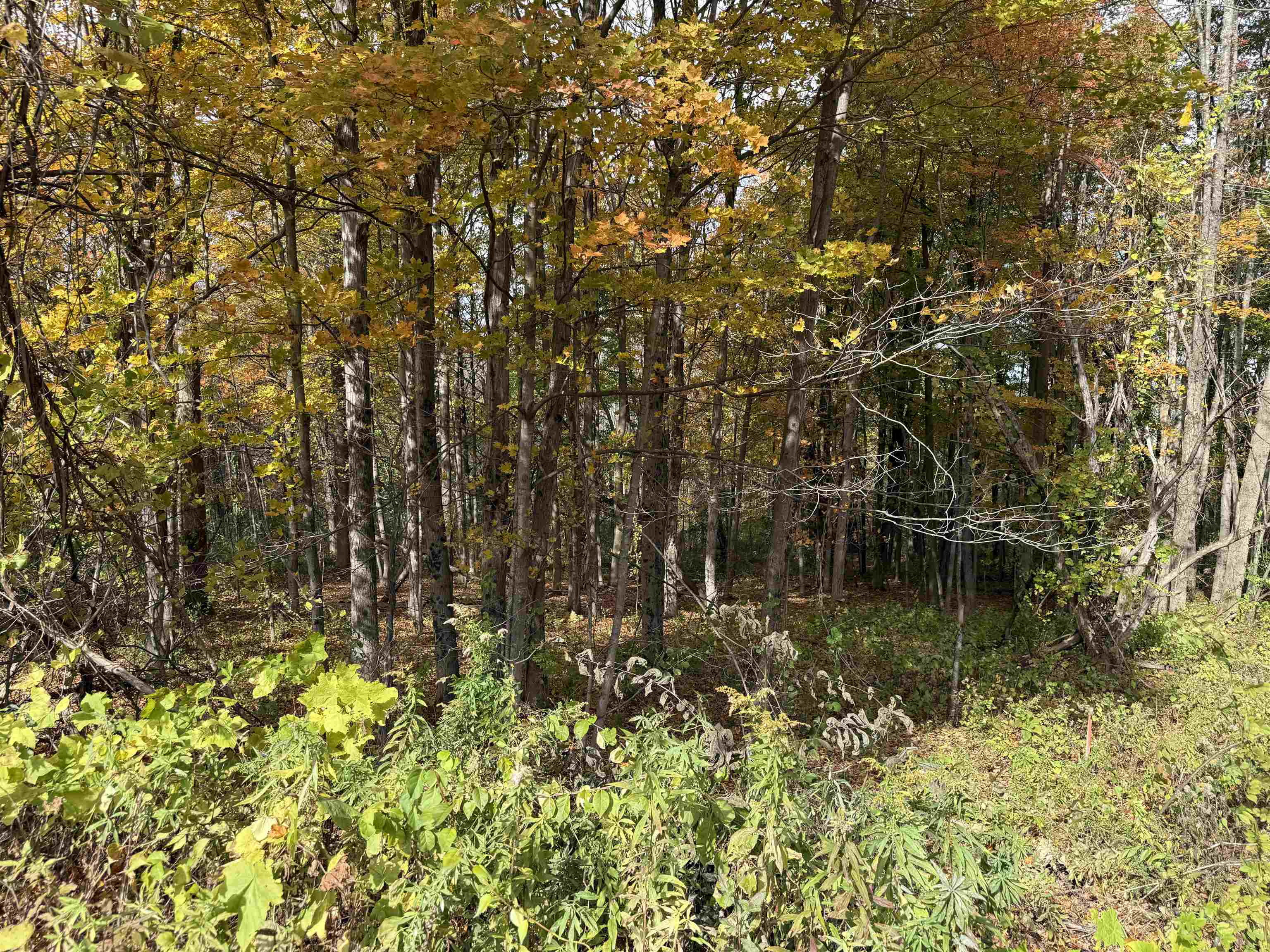 0 Sunset Hill Road Pownal, VT 05261 - Photo 14 of 17