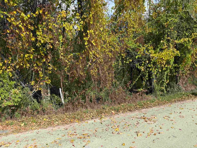 $65,000 | 0 Sunset Hill Road, Pownal, VT 05261