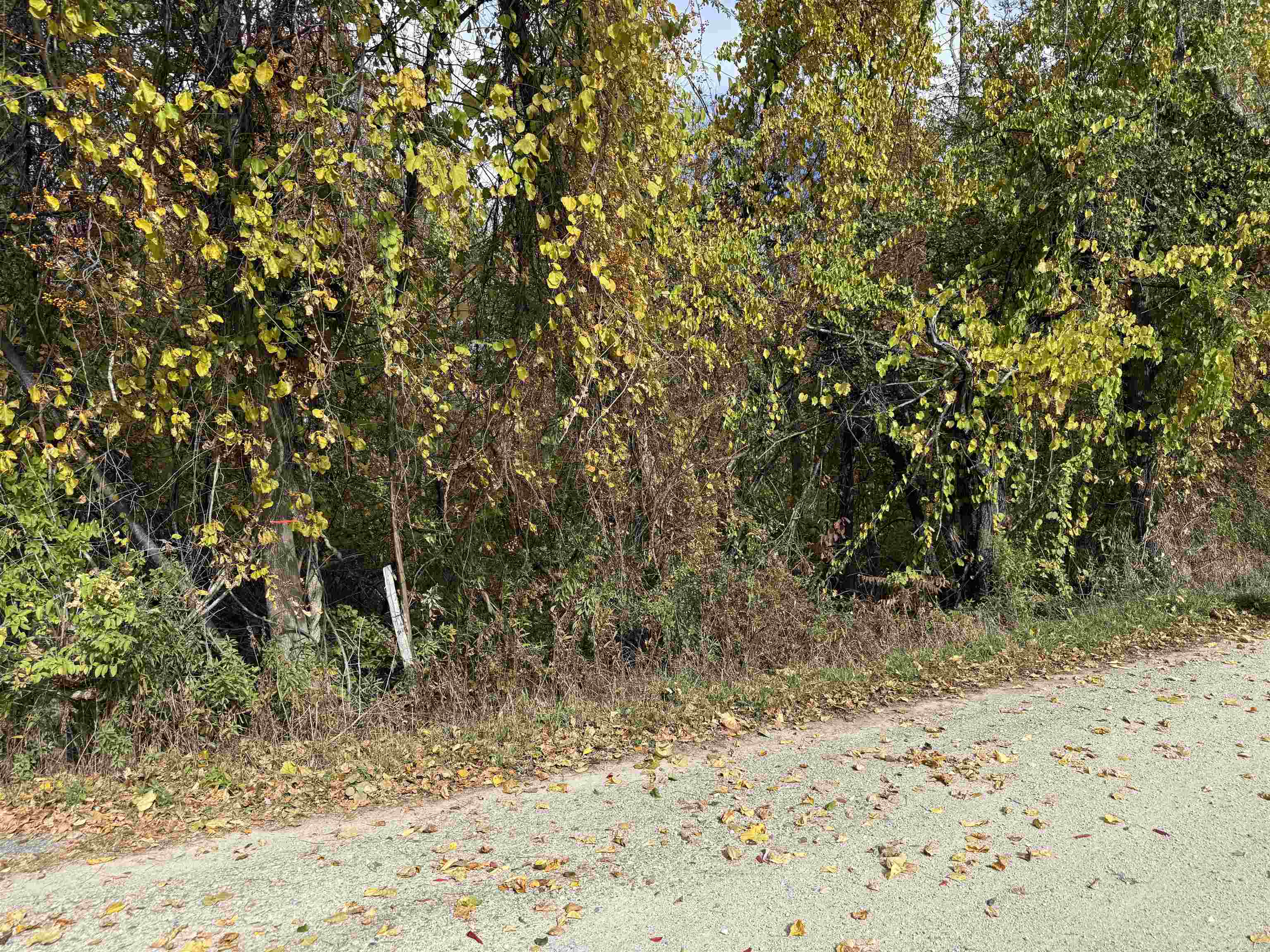 0 Sunset Hill Road Pownal, VT 05261 - Photo 15 of 17