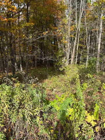 $65,000 | 0 Sunset Hill Road, Pownal, VT 05261