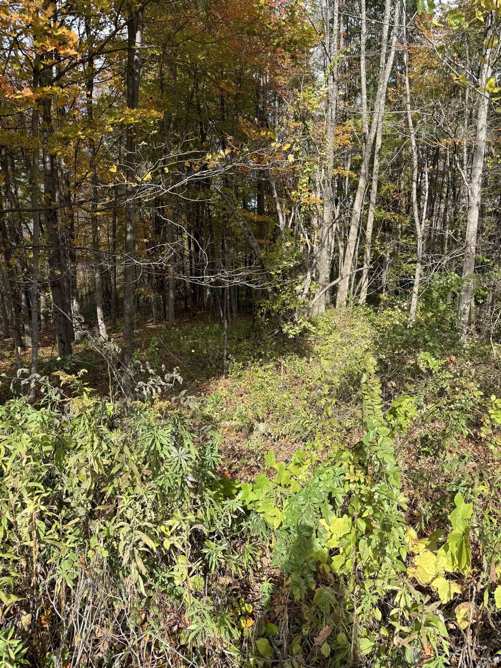 0 Sunset Hill Road Pownal, VT 05261 - Photo 16 of 17