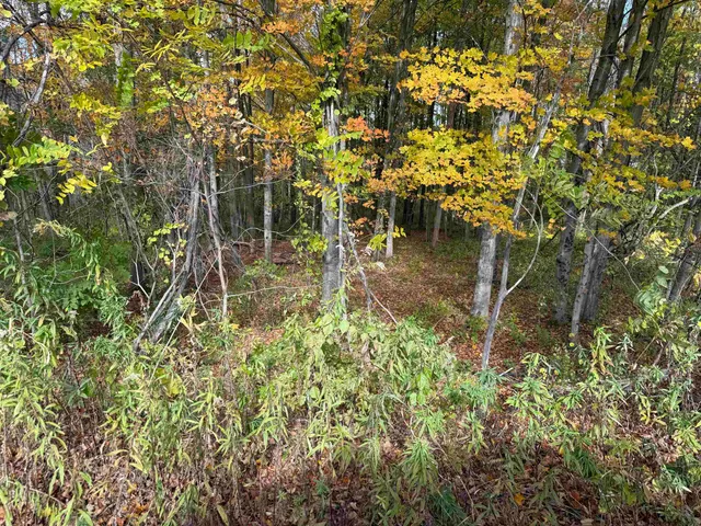 $65,000 | 0 Sunset Hill Road, Pownal, VT 05261