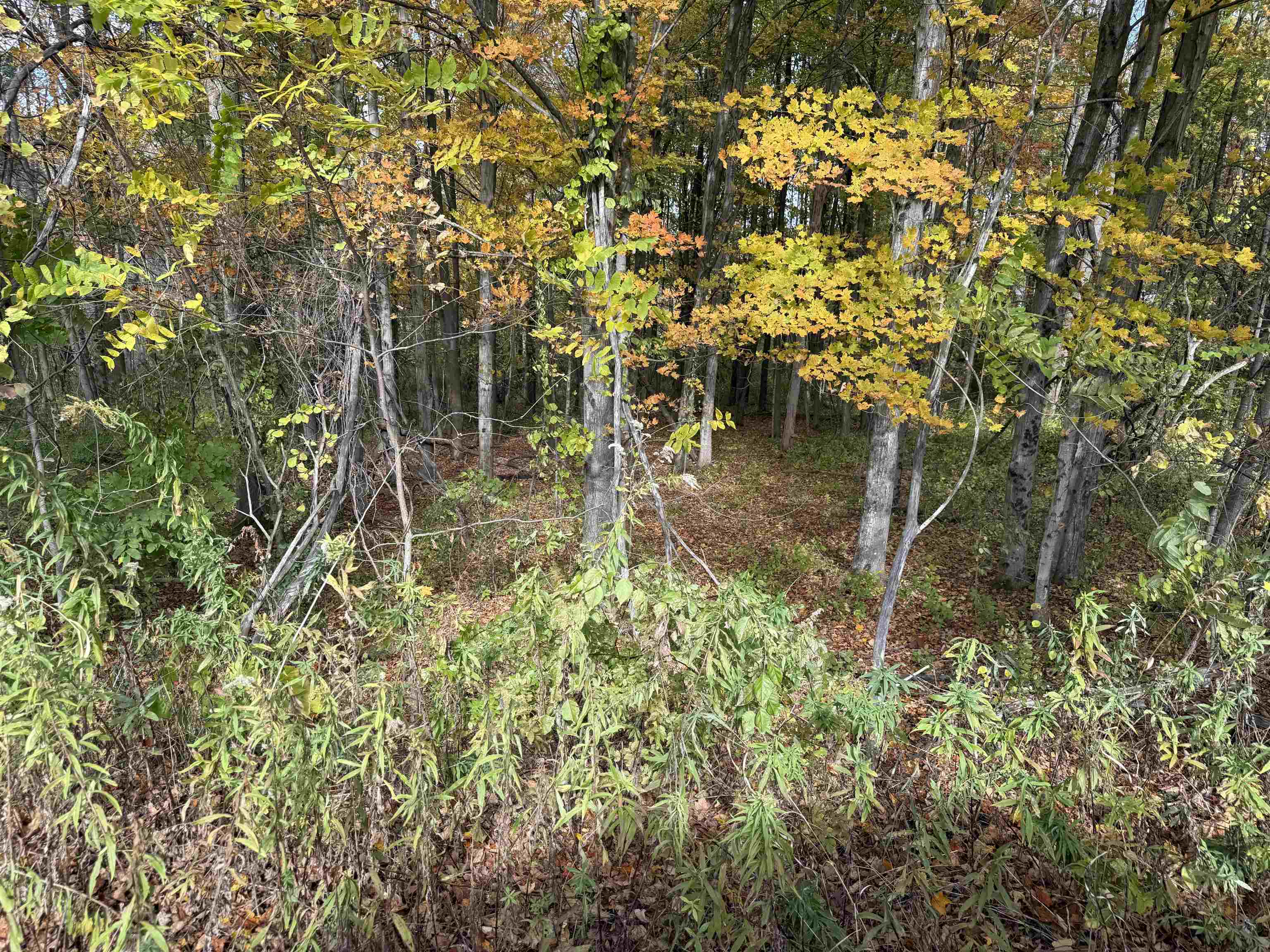 0 Sunset Hill Road Pownal, VT 05261 - Photo 2 of 17