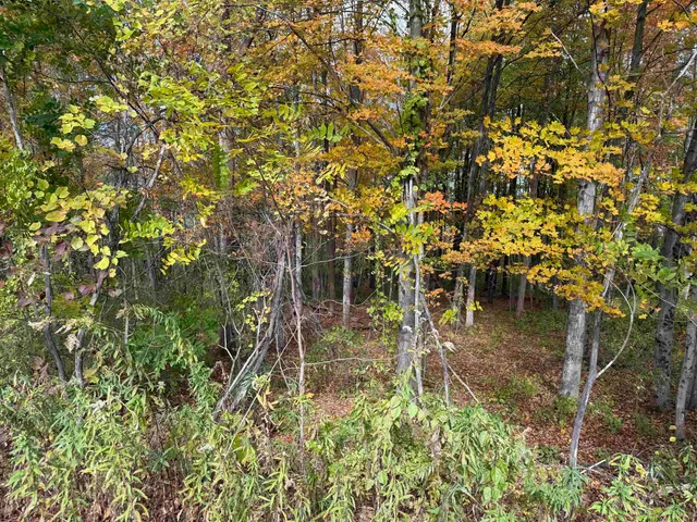 $65,000 | 0 Sunset Hill Road, Pownal, VT 05261