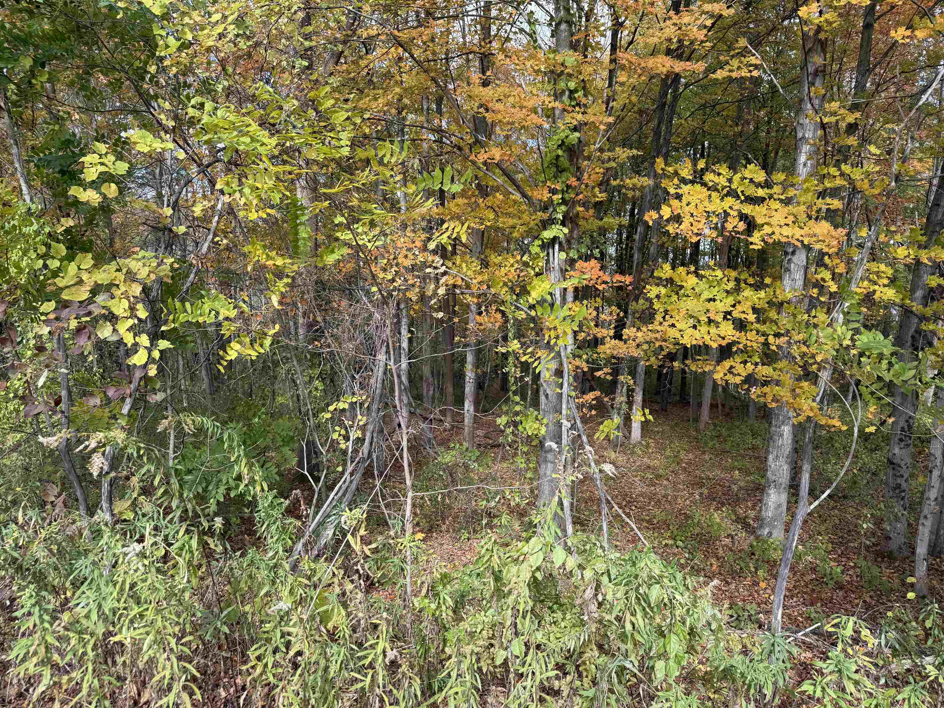 0 Sunset Hill Road Pownal, VT 05261 - Photo 3 of 17