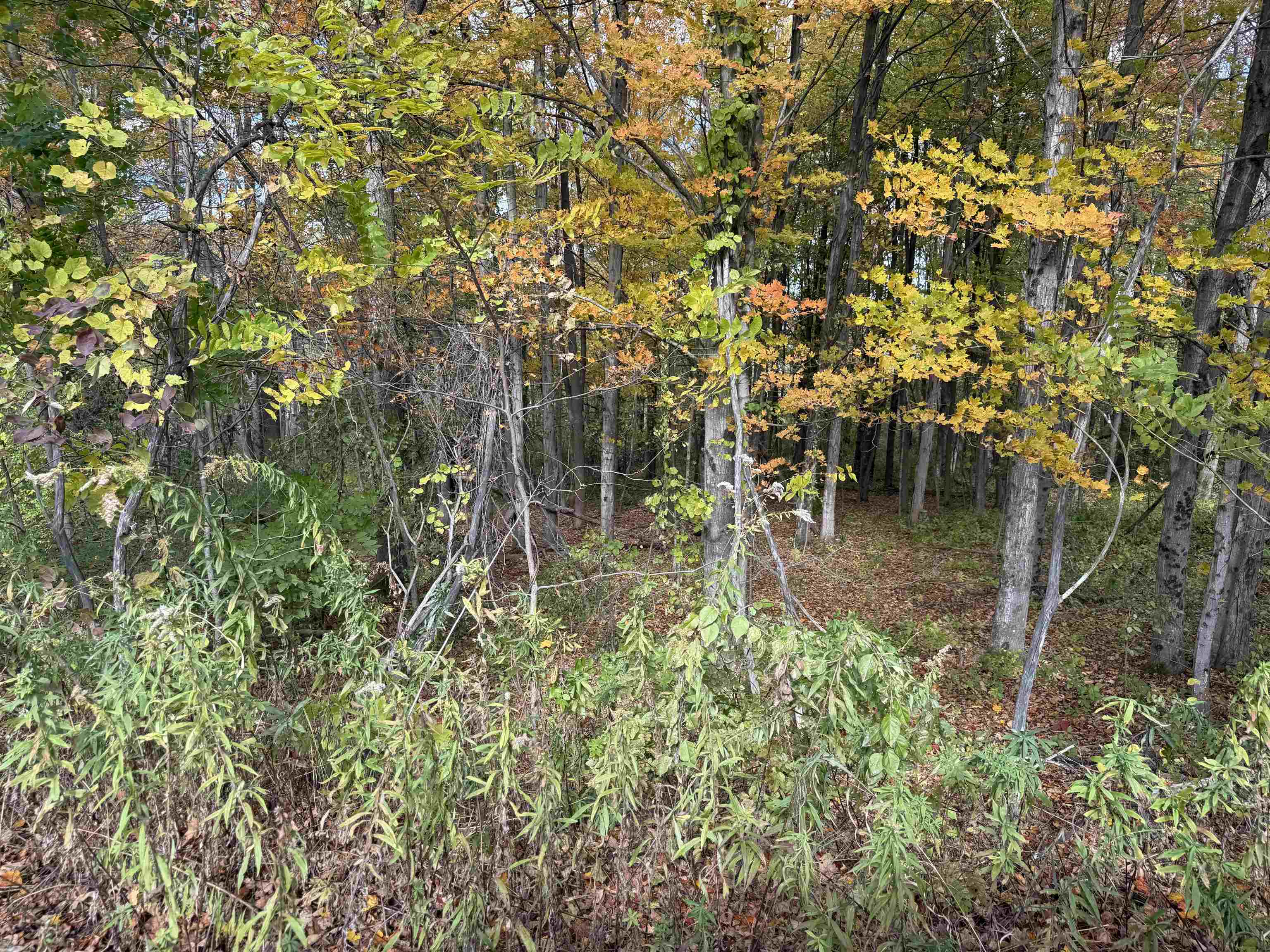 0 Sunset Hill Road Pownal, VT 05261 - Photo 4 of 17