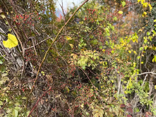 $65,000 | 0 Sunset Hill Road, Pownal, VT 05261