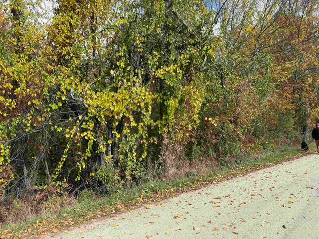 $65,000 | 0 Sunset Hill Road, Pownal, VT 05261