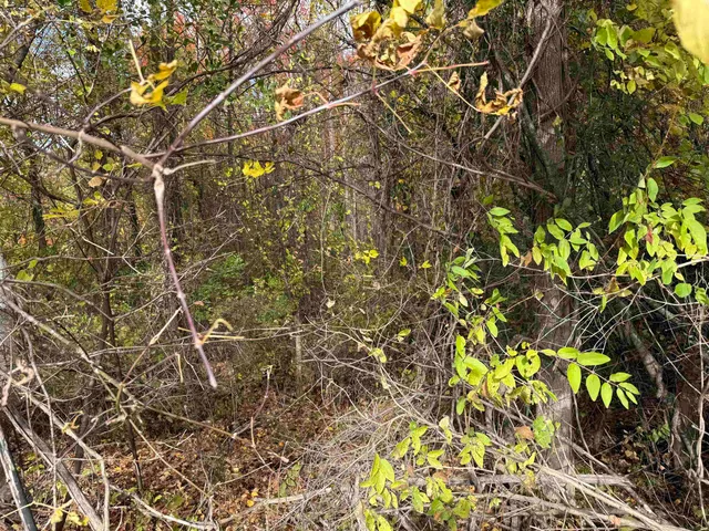 $65,000 | 0 Sunset Hill Road, Pownal, VT 05261