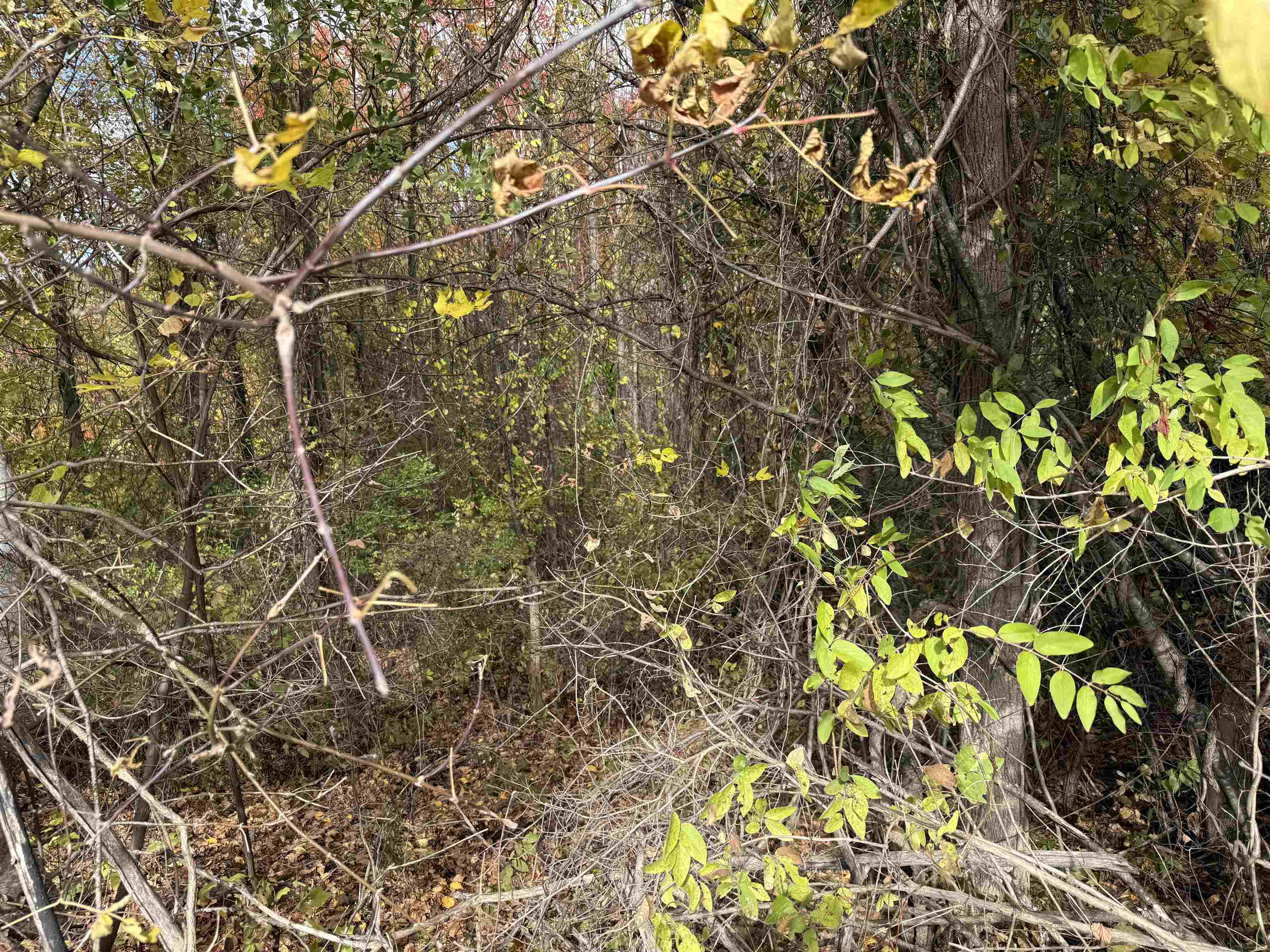 0 Sunset Hill Road Pownal, VT 05261 - Photo 7 of 17