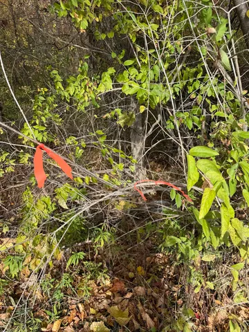 $65,000 | 0 Sunset Hill Road, Pownal, VT 05261