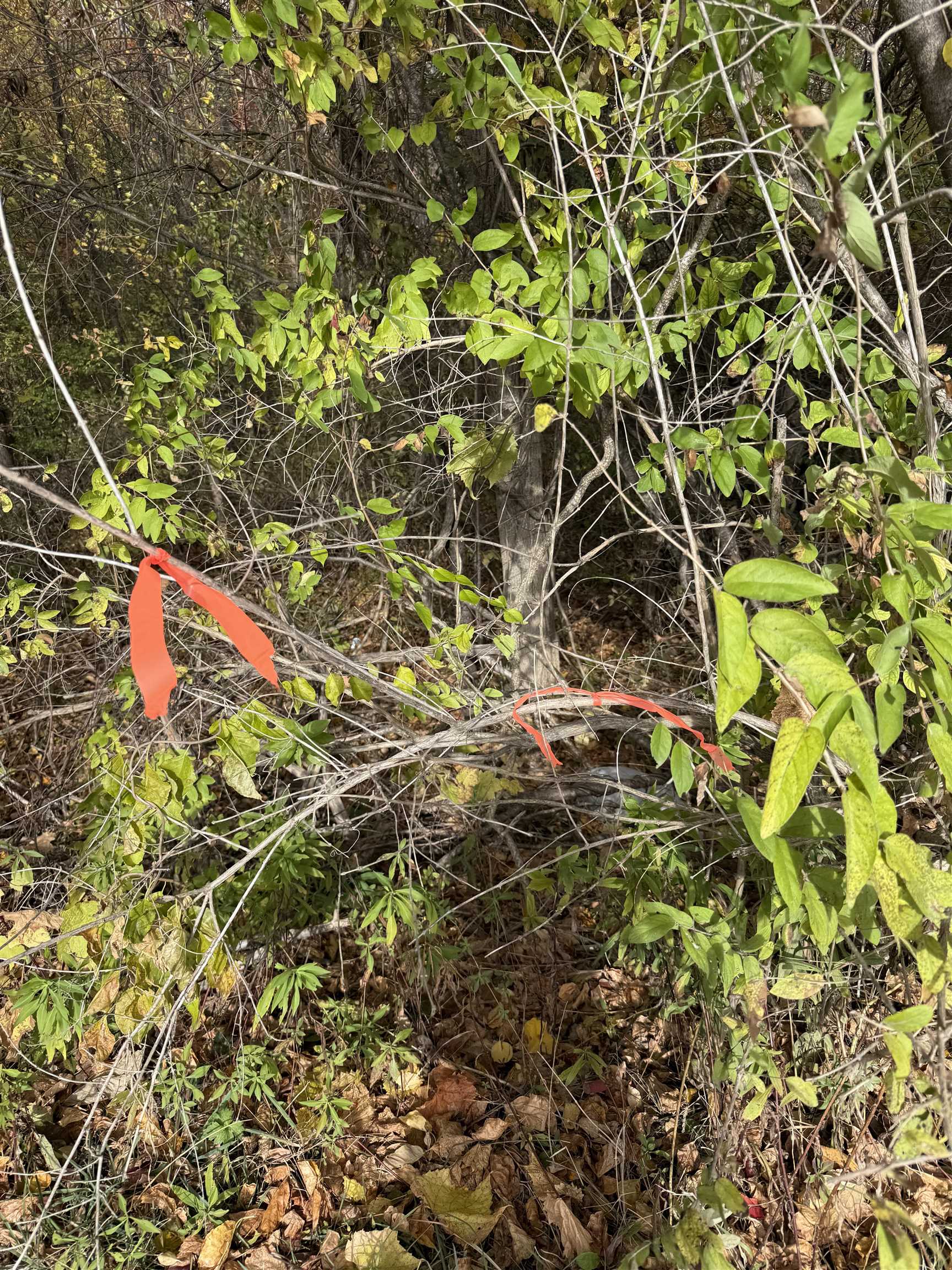 0 Sunset Hill Road Pownal, VT 05261 - Photo 8 of 17