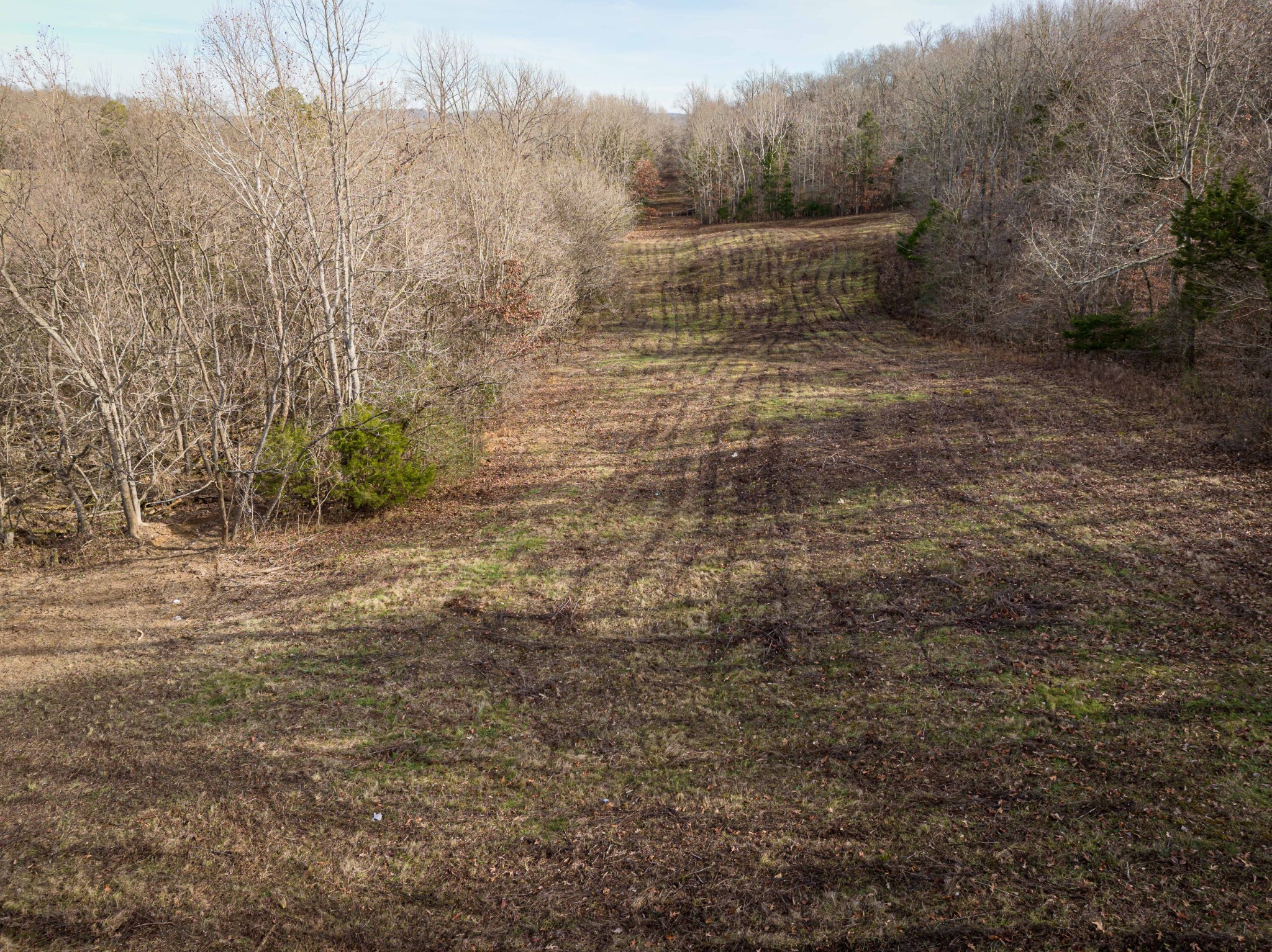 0 Utah Road Decaturville, TN 38329 - Photo 8 of 17 Gallery Image 8