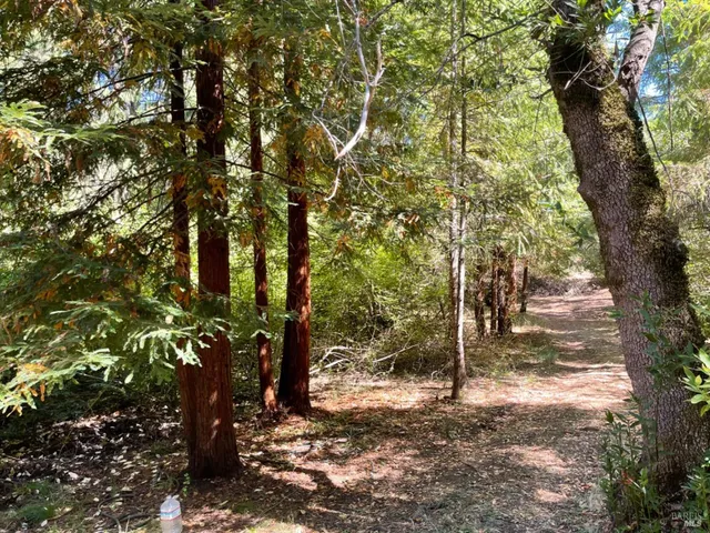 a view of outdoor space with trees