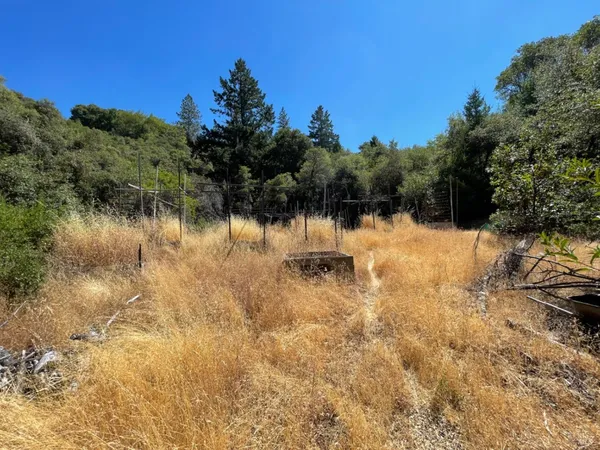 a view of outdoor space and trees all around