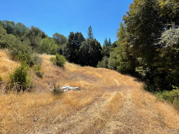 a view of a snow in a yard