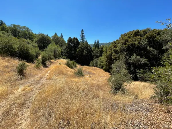 a view of a dirt pathway both side of yard