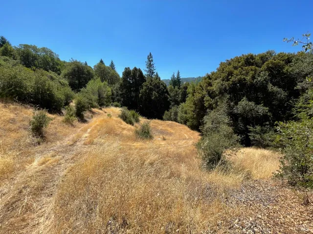 a view of a dirt pathway both side of yard