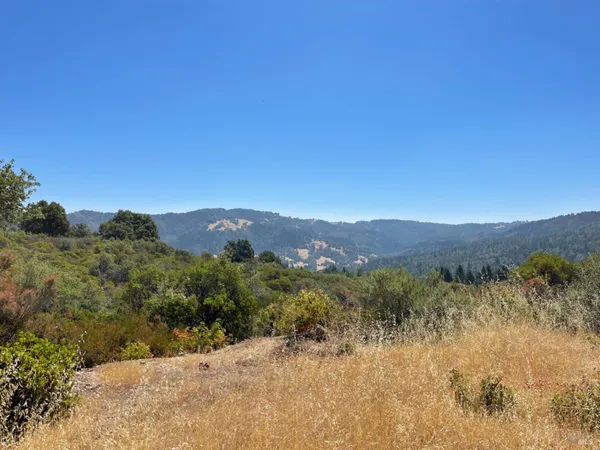 a view of empty space and yard