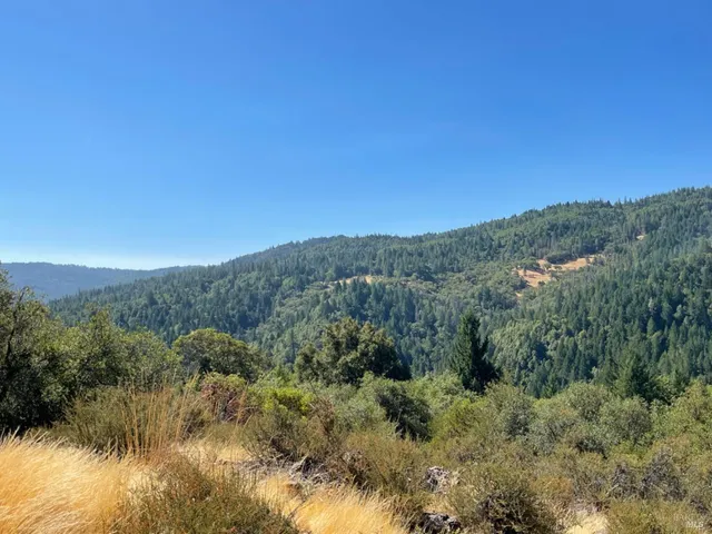 a view of a green field with lots of bushes