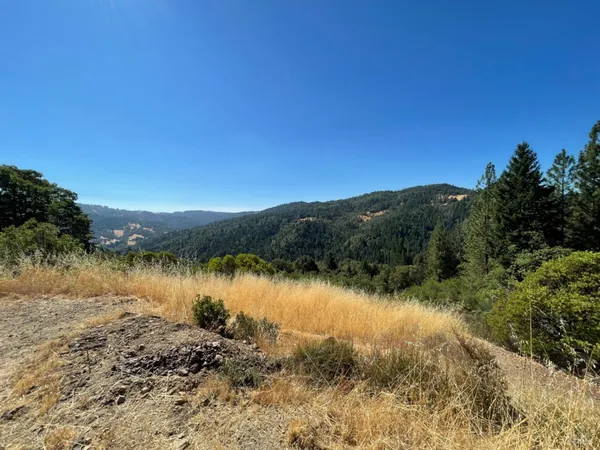 a view of a city with a mountain in the background