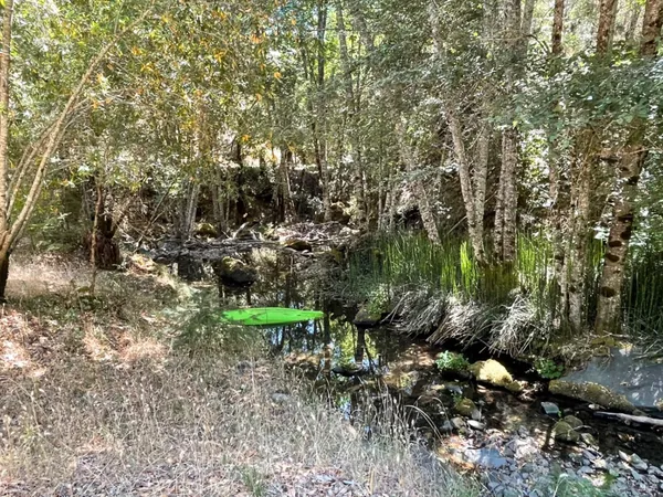a backyard of a house with lots of green space