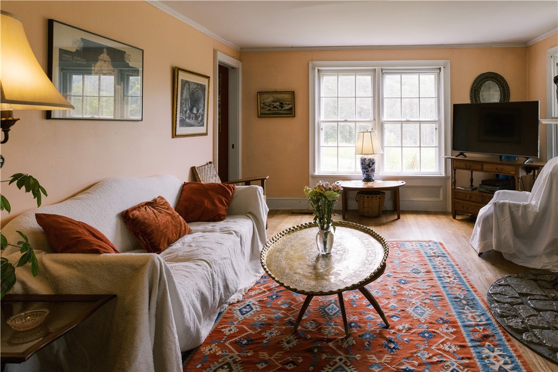121 Palmer Road Jefferson, NY 12093 - Photo 11 of 46 living room