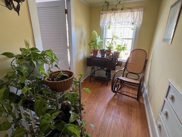 121 Palmer Road Jefferson, NY 12093 - Photo 18 of 46 second floor hallway