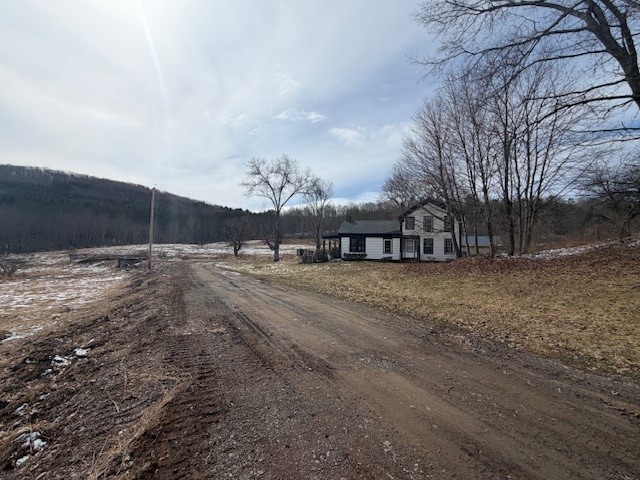121 Palmer Road Jefferson, NY 12093 - Photo 28 of 46 driveway