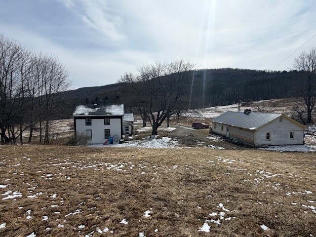 121 Palmer Road Jefferson, NY 12093 - Photo 29 of 46 main house and cottage