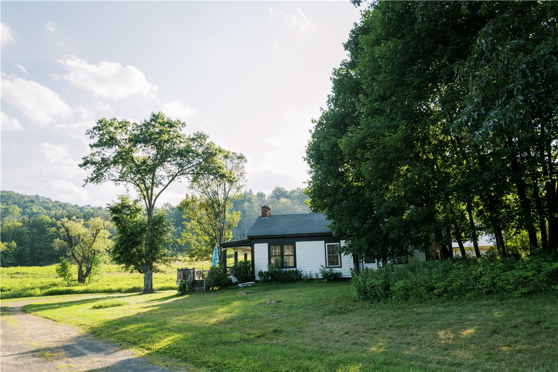 121 Palmer Road Jefferson, NY 12093 - Photo 3 of 46 side of house