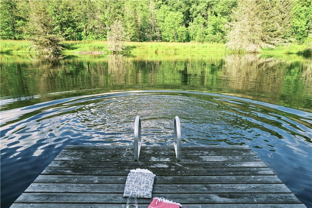 121 Palmer Road Jefferson, NY 12093 - Photo 32 of 46 Pond with dock