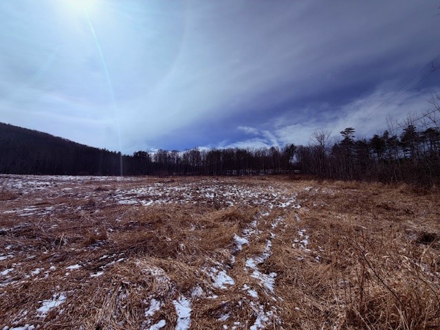 121 Palmer Road Jefferson, NY 12093 - Photo 33 of 46 view