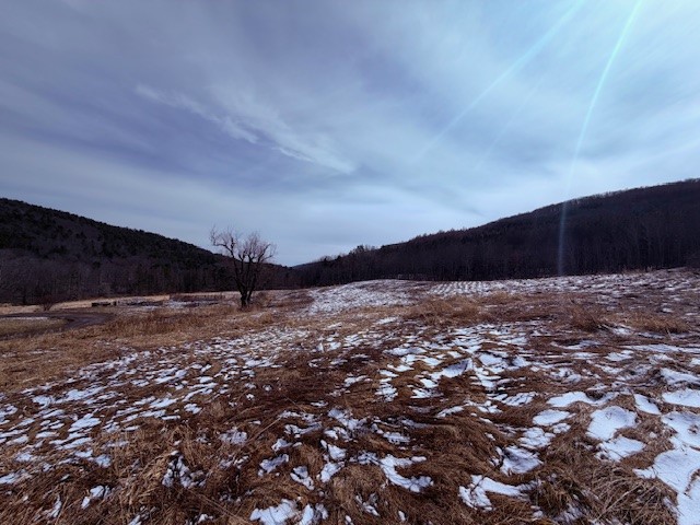 121 Palmer Road Jefferson, NY 12093 - Photo 34 of 46 view